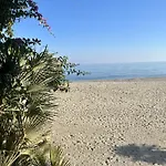 Sun &